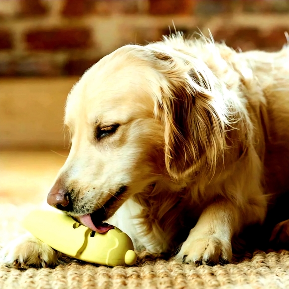 PetSafe Frosty Cone Chew Dog Toy, Medium/Large - Picture 1 of 8